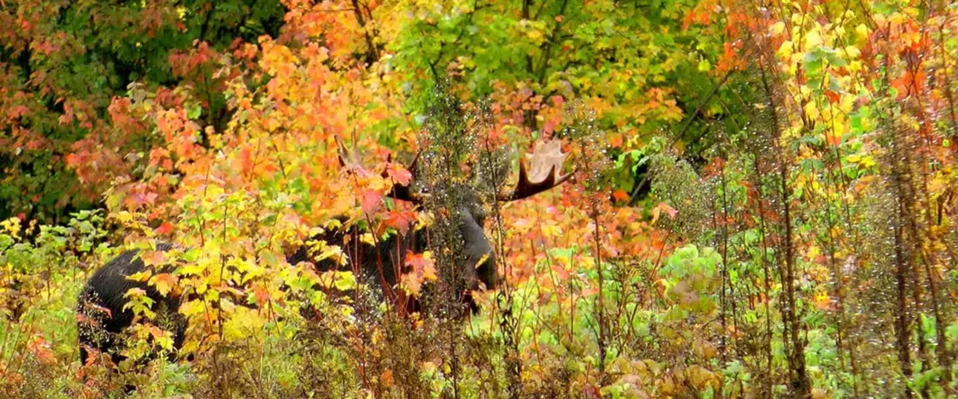 Frequently Asked Questions Frequently Asked Questions