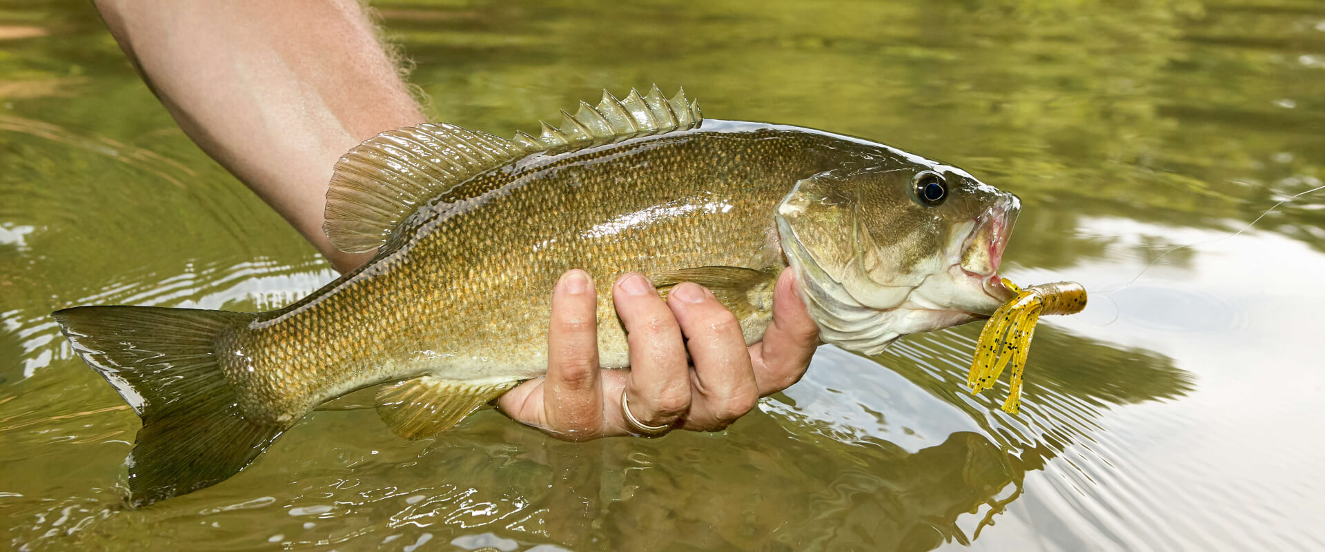 Guided Fishing Trips in Maine Guided Fishing Trips in Maine