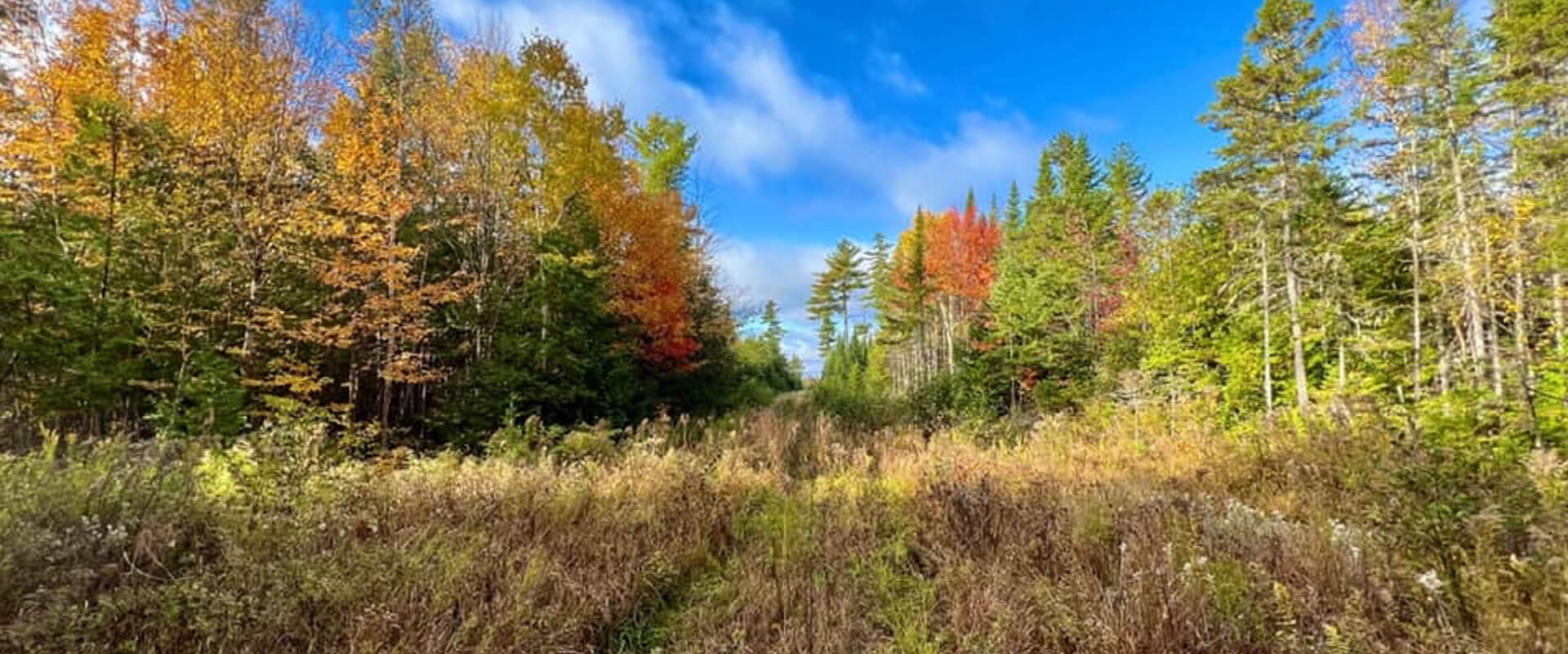 Prepare for your Maine Moose hunt Prepare for your Maine Moose hunt