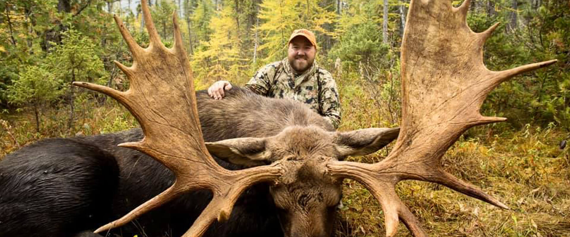 Maine Trophy Moose Hunts