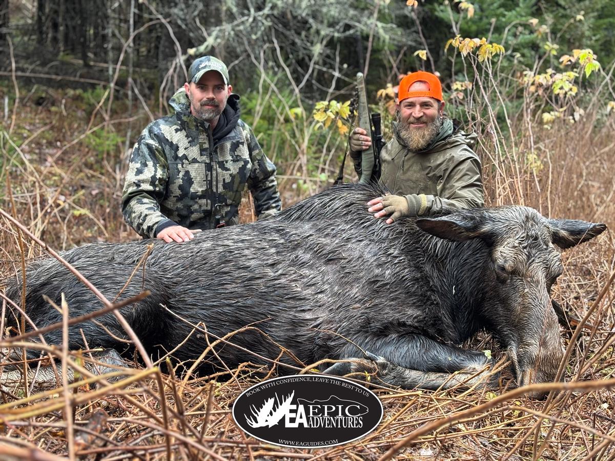 Ben Allen guiding Daniel Vitalis on a Maine moose hunt for WildFed Outdoor Channel