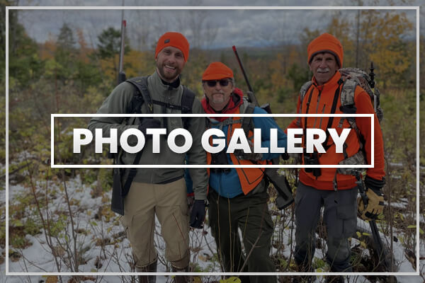 Photo Gallery Photo Gallery