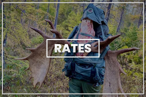 Rates Rates