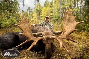 Experience the adrenaline of a guided Maine moose hunt. Our expert guides use traditional calling techniques to bring trophy bulls into close range.