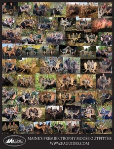 See the collection of successful trophy bull and cow moose hunts with Epic Adventures. Top-tier guiding, extensive scouting, and remote wall tent camps in the North Maine Woods.