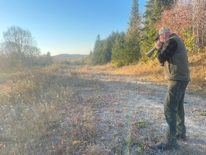 Book a world-class guided Maine moose hunt in the North Maine Woods with Epic Adventures. Experienced guides, remote wall tent camps, and elite game care.