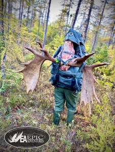 Heavy pack-outs are part of the adventure. Our Epic Adventures guide team handles complete quartering, extraction, and elite game care for your Maine moose.
